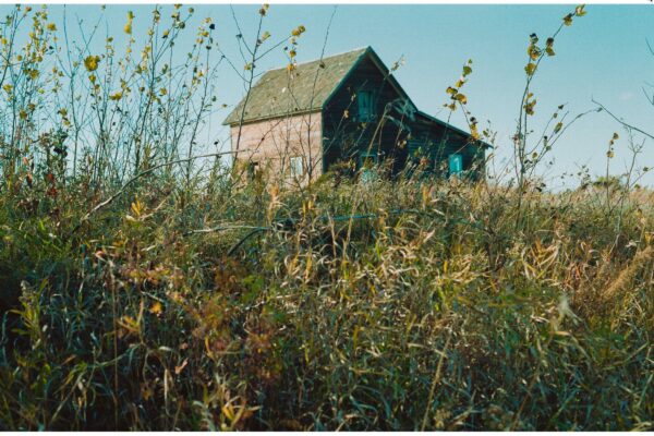 Deserted Farmhouse # 1 Colour