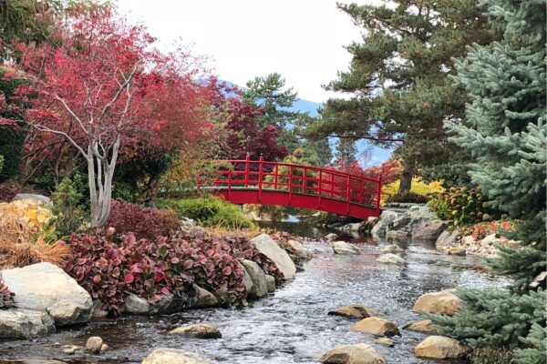 The Bridge at Harvest Harvest Bridge @ 1200 x 800