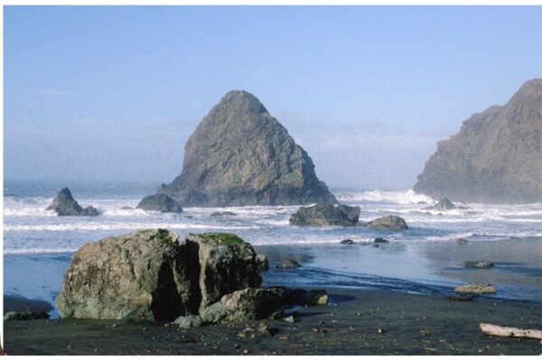 The Salish Sea In Focus Salish Sea in Focus @ 1200 x 800