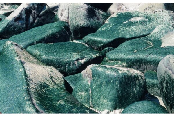 Green Rocks: The Photograph As Painting The Green Rocks @ 1200 x 800