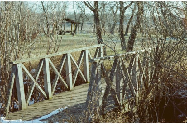 Walking Across The Bridge of Life Walking Across The Bridge @ 1200 x 800