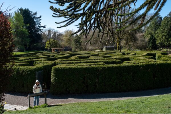 Van Dusen Maze @ 1200 x 800