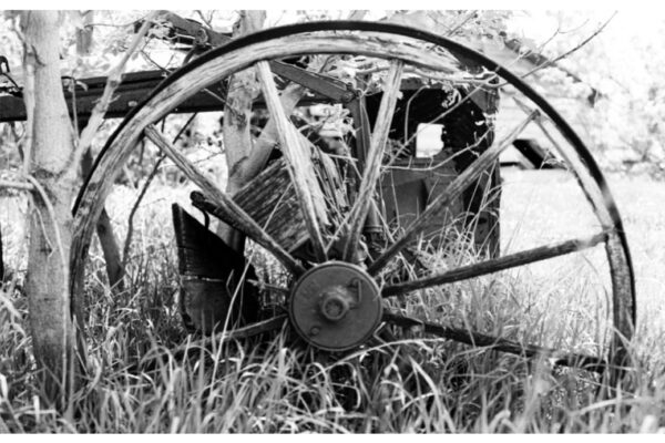 When Wheels Were Made of Wood Wooden Wheel @ 1200 x 800