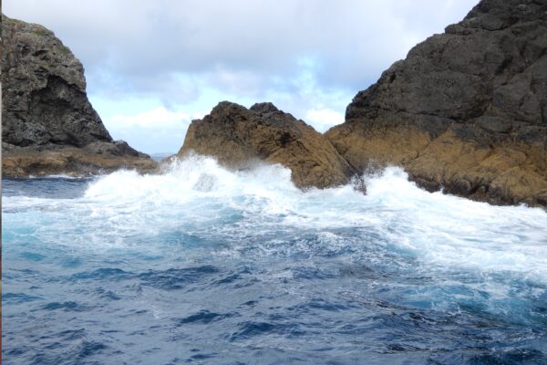 New Zealand Waves ~ A Study In Blue New Zealand Waves